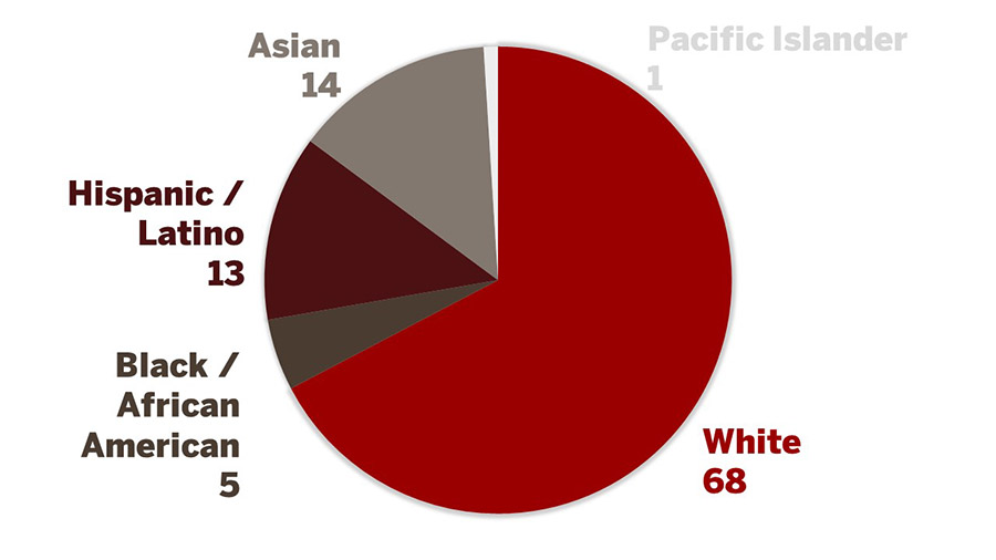 dds 2008 ethnicity graph