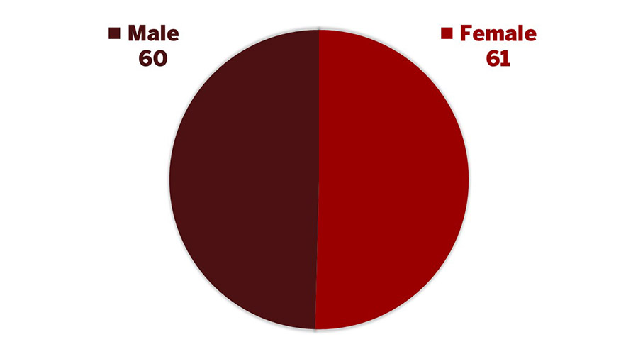 dds 2028 Gender Graph