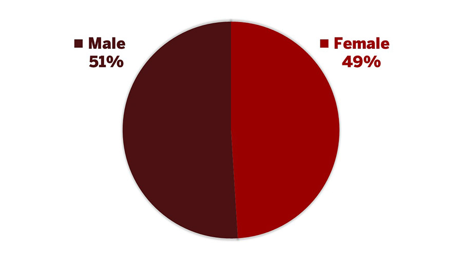 Faculty Gender