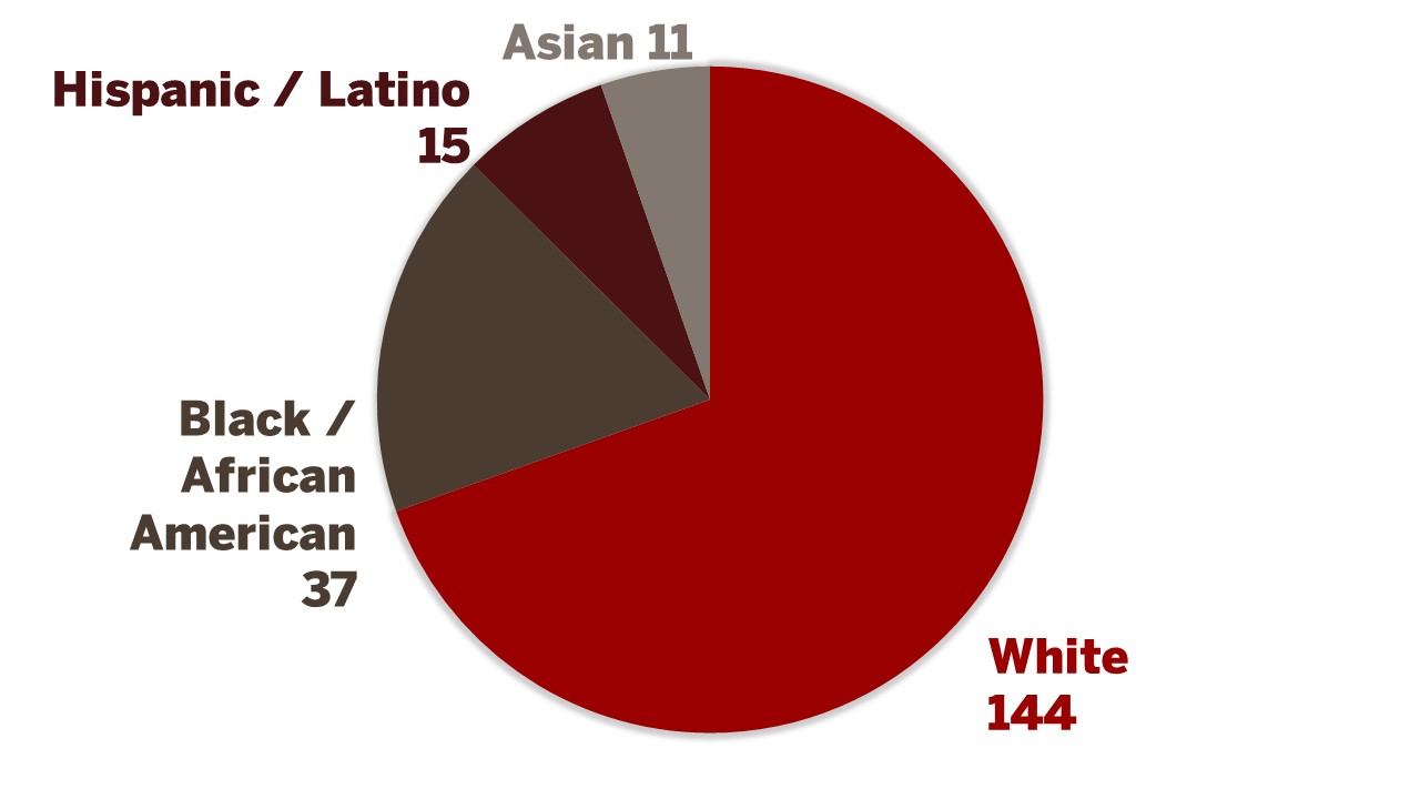 Staff Ethnicity 2024